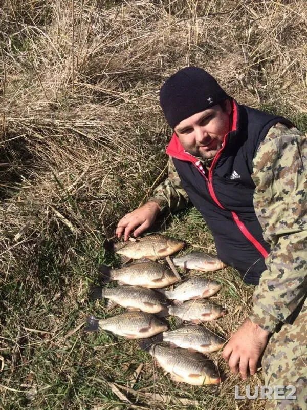 Crucian carp — Kochety, Apr 02, 2017