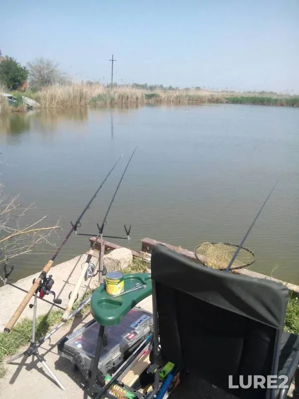 Crucian carp — Kuban, May 04, 2017