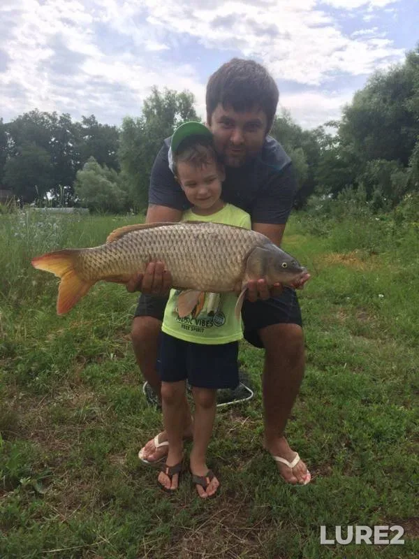 Carp — Kochety, Jul 30, 2017