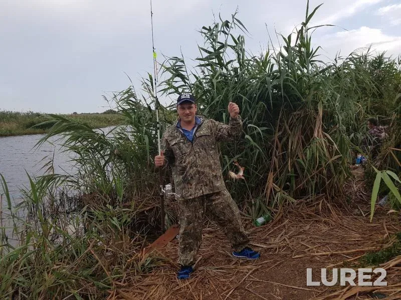 Carp, Crucian carp — Yeya, Jul 31, 2017