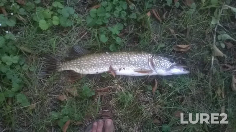 Pike — Pshada, Sep 18, 2017