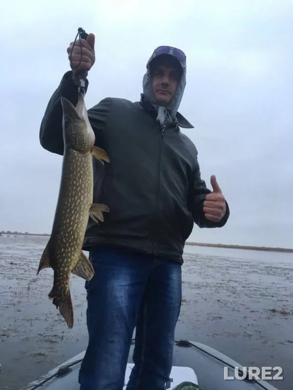 Pike — Krasnodarskiy kray, Primorsko-Akhtarskiy rayon, Nov 16, 2017