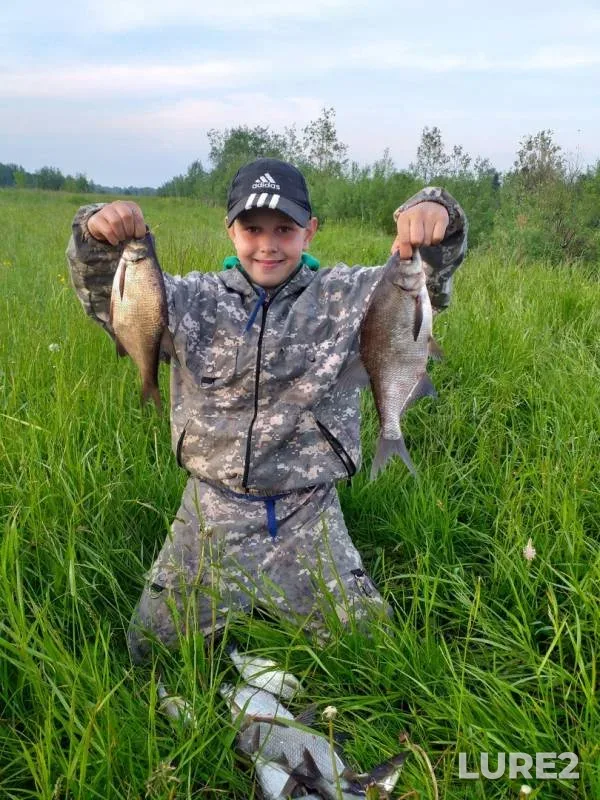 Bream — Kama, Jun 23, 2019