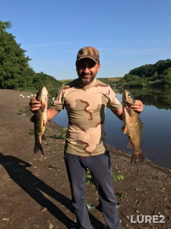 Carp — Sredniy Zelenchuk, Aug 02, 2019