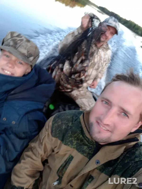 Perch — Khanty-Mansiyskiy avtonomnyy okrug — Yugra, Jul 31, 2018