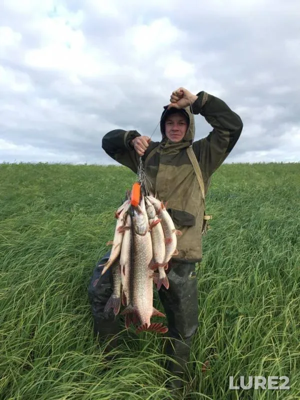 Pike — protoka Bolshoy Posal, Sep 17, 2018