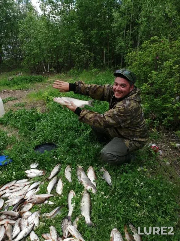 Ide, Roach — Tavda, Jun 29, 2019