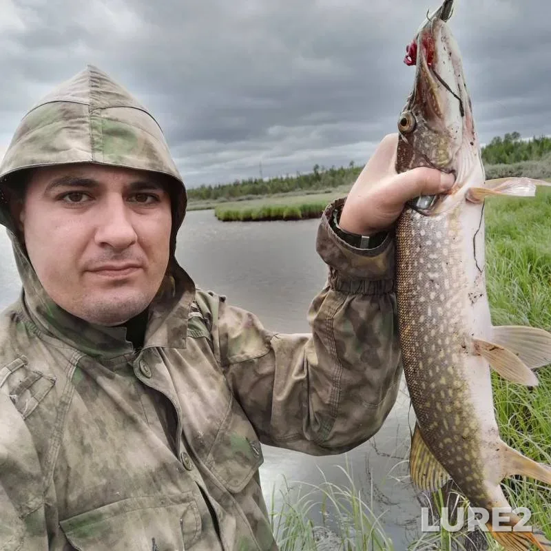 Pike — Kislor, Jul 27, 2019