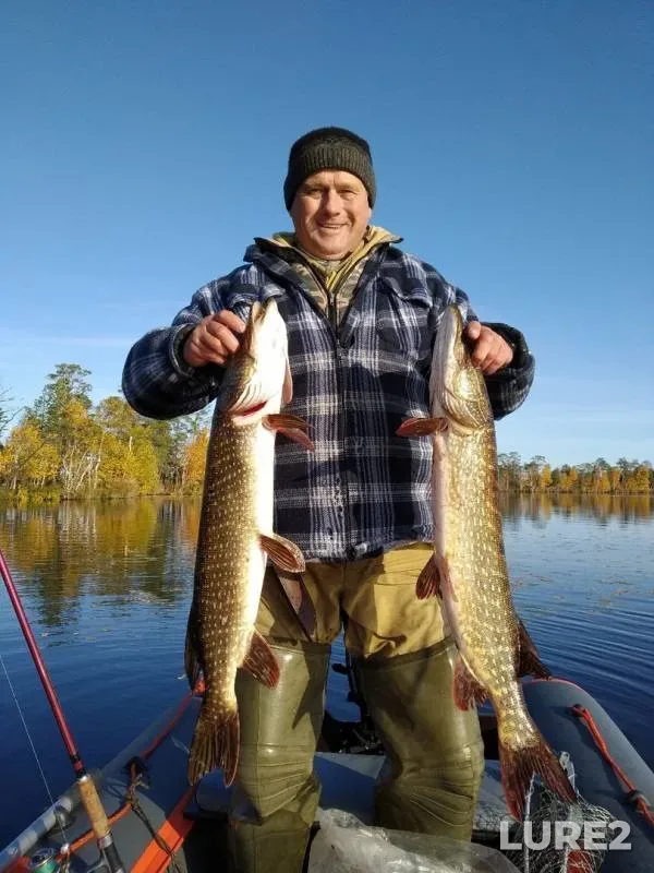 Perch, Pike — Bolshoye Lebyazhye, Sep 21, 2019
