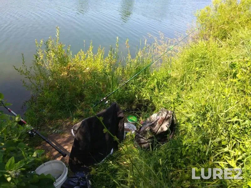 Crucian carp — Shimyakovka, Jul 17, 2017