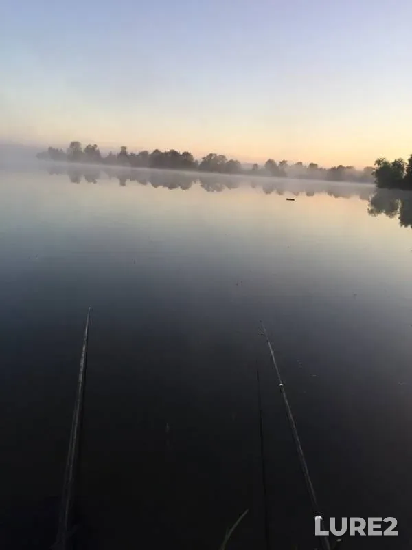 Bream, Roach — Kazanka, Aug 01, 2018