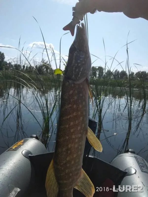 Pike — Sumka, Aug 29, 2018