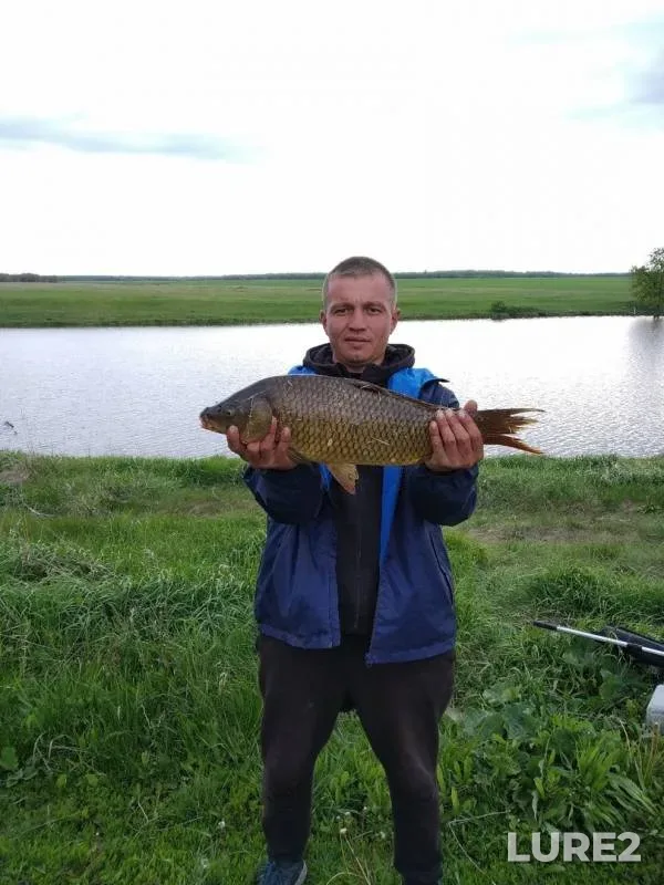 Carp — Kurnalka, May 28, 2019