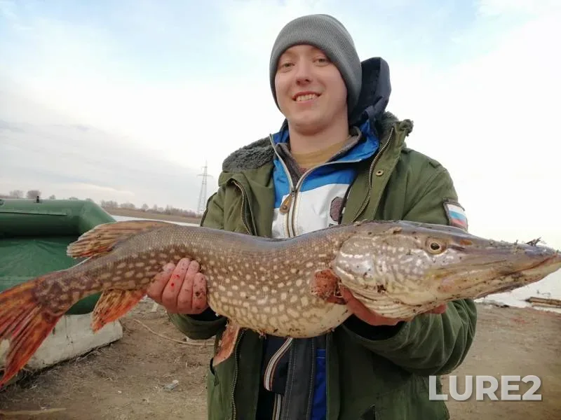 Pike — Rycha, Mar 23, 2019