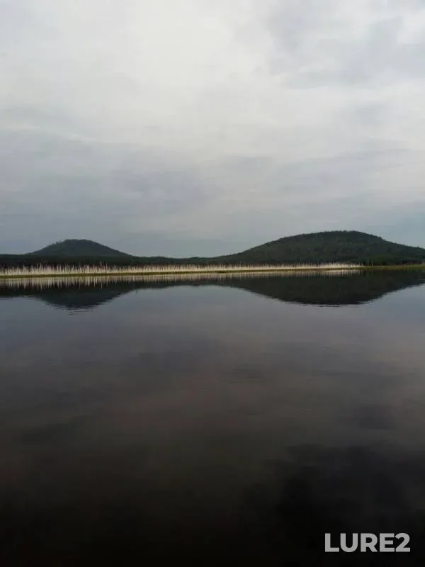 Perch, Pike — Ufa, Jul 21, 2019
