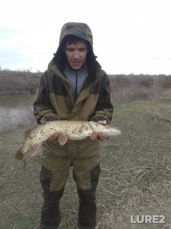 Pike — Rycha, Mar 27, 2019