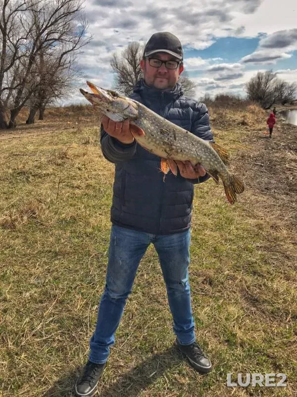 Pike — Rycha, Mar 27, 2019