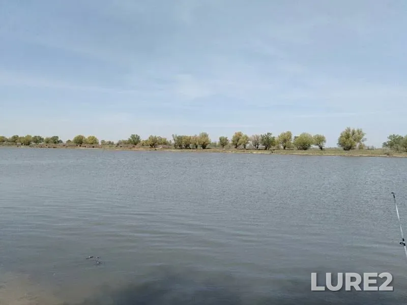 Bream, Crucian carp — Astrakhanskaya oblast, Krasnoyarskiy rayon, Apr 28, 2019