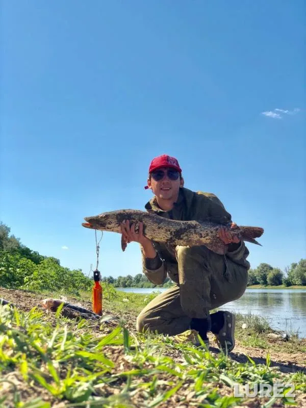 Pike — Tyoplaya, Aug 06, 2019
