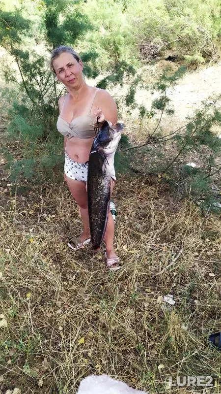 Wels catfish — Akhtuba, Sep 03, 2019