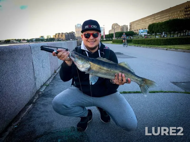Zander — Volgo-Baltiyskiy kanal, Jul 05, 2018