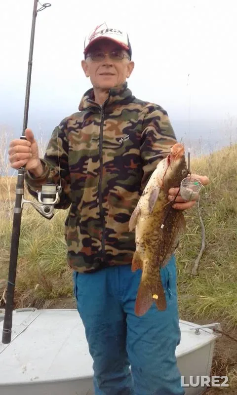 Carp — Saratovskaya oblast, Jul 13, 2018