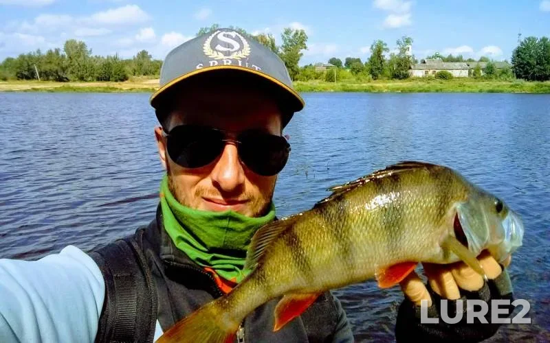 Perch — Vezloma, Aug 06, 2018