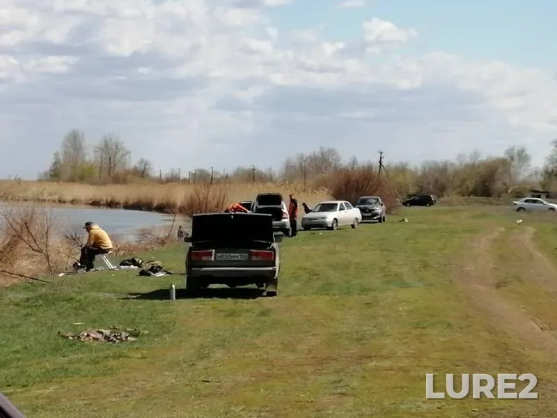 Crucian carp — Saratovskaya oblast, May 01, 2019