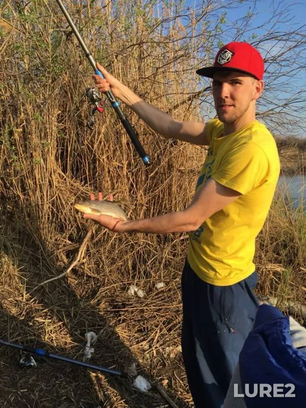 Crucian carp — Saratovskaya oblast, May 13, 2019