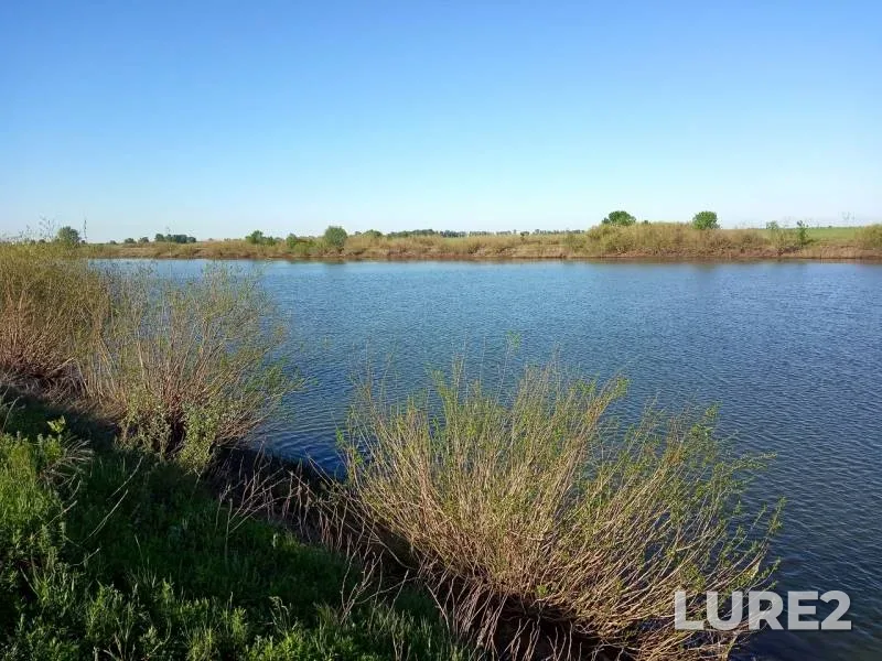 Bream, Crucian carp — Bolshoy Irgiz, May 18, 2019