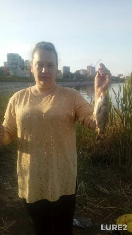 Crucian carp — Saratovskiy orositelnyy kanal, May 24, 2019