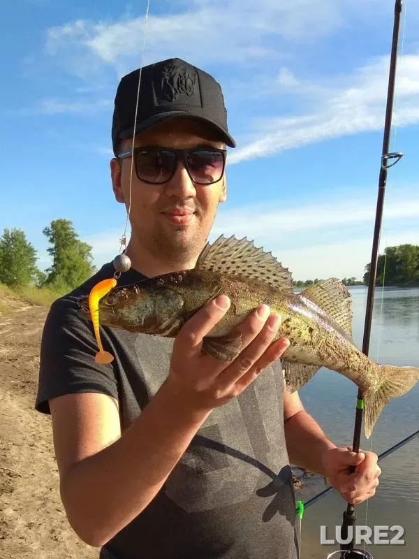 Pike, Zander — Bolshoy Irgiz, May 25, 2019