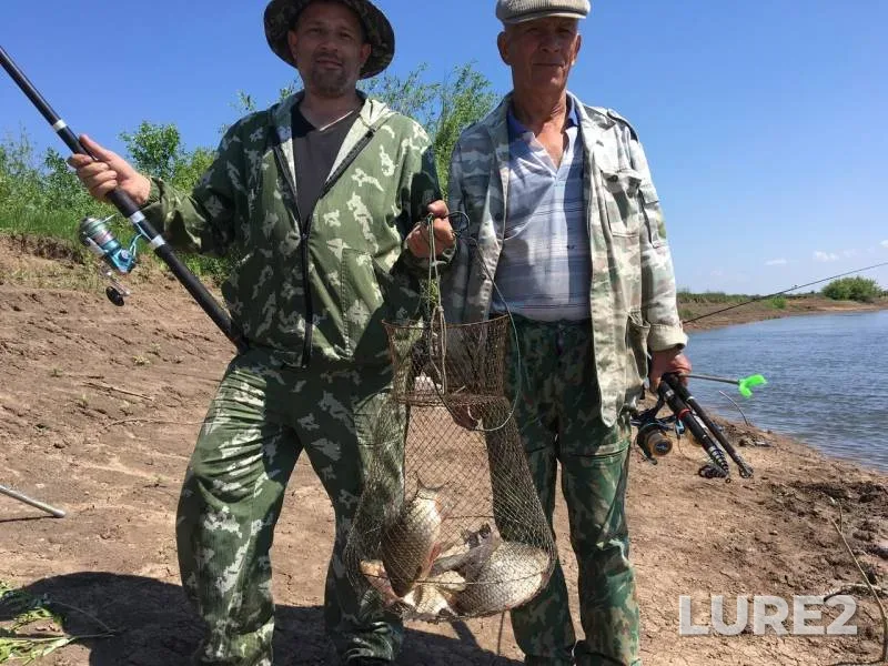 Bream — Bolshoy Irgiz, Jun 03, 2019