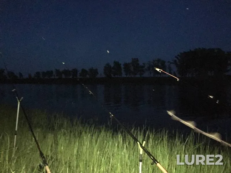 Bream, Crucian carp — Bolshoy Irgiz, Jun 08, 2019