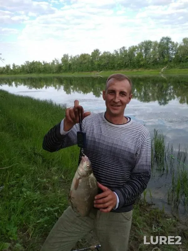 Bream — Bolshoy Irgiz, Jun 24, 2019