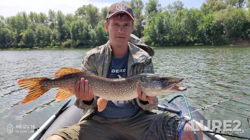 Pike — Bolshoy Irgiz, Jul 13, 2019