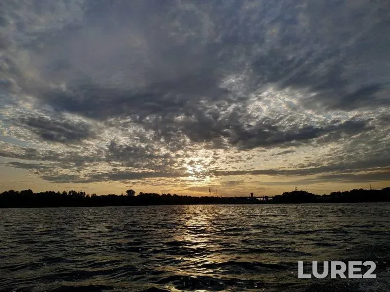 Perch, Zander — Shlyuz №25, Jul 26, 2019