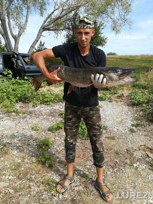 Pike — Saratovskoye, Aug 17, 2019
