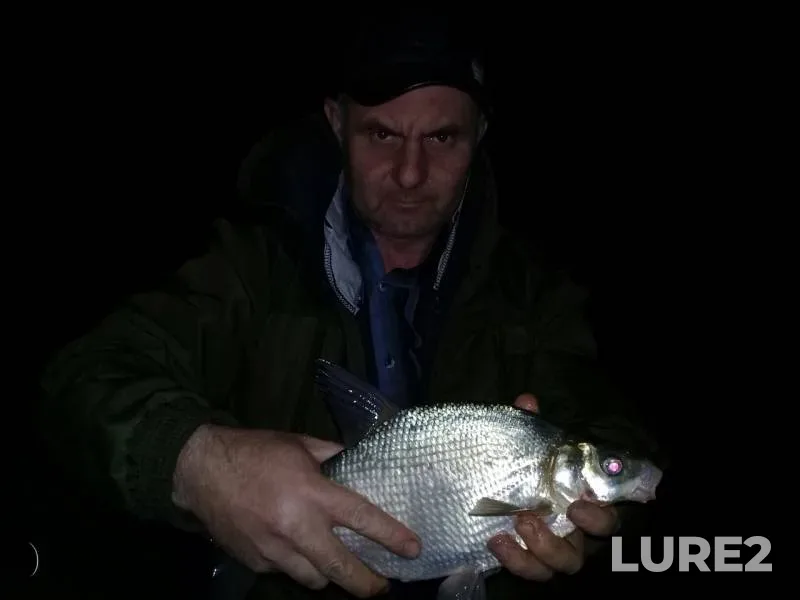 Bream, Ide — Sazanley, Sep 01, 2019