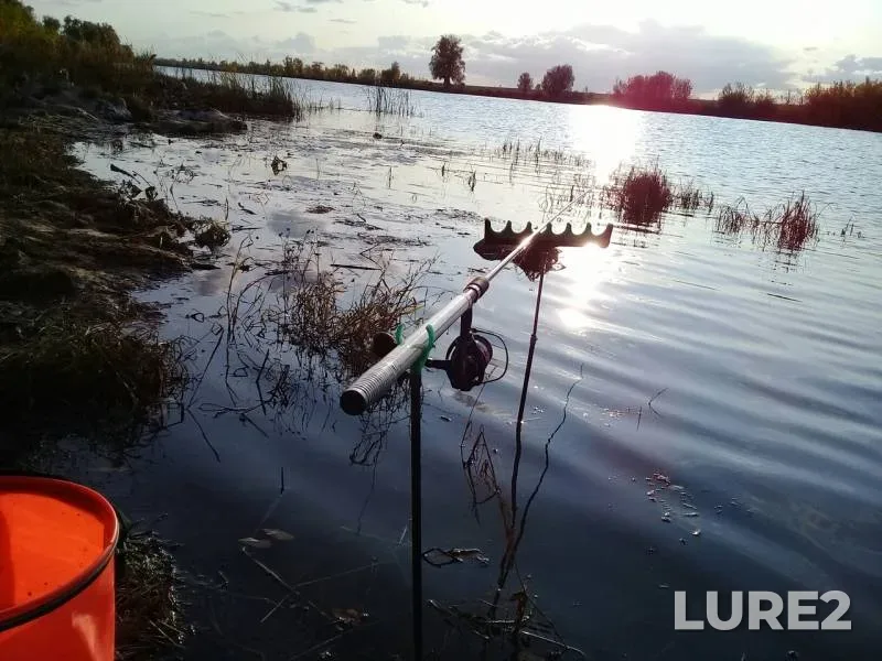Bream, Crucian carp — Bolshoy Irgiz, Sep 15, 2019