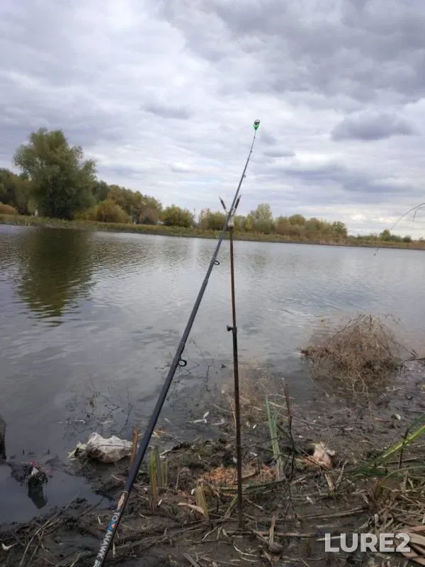 Crucian carp, Roach — Mayanga, Sep 25, 2019
