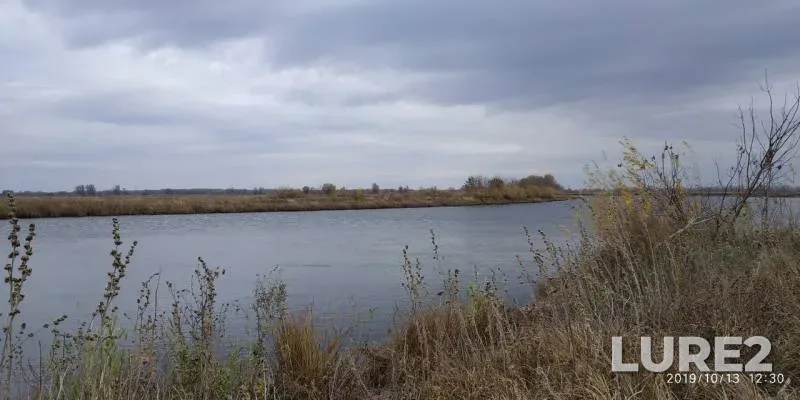 Pike — Bolshoy Irgiz, Oct 13, 2019