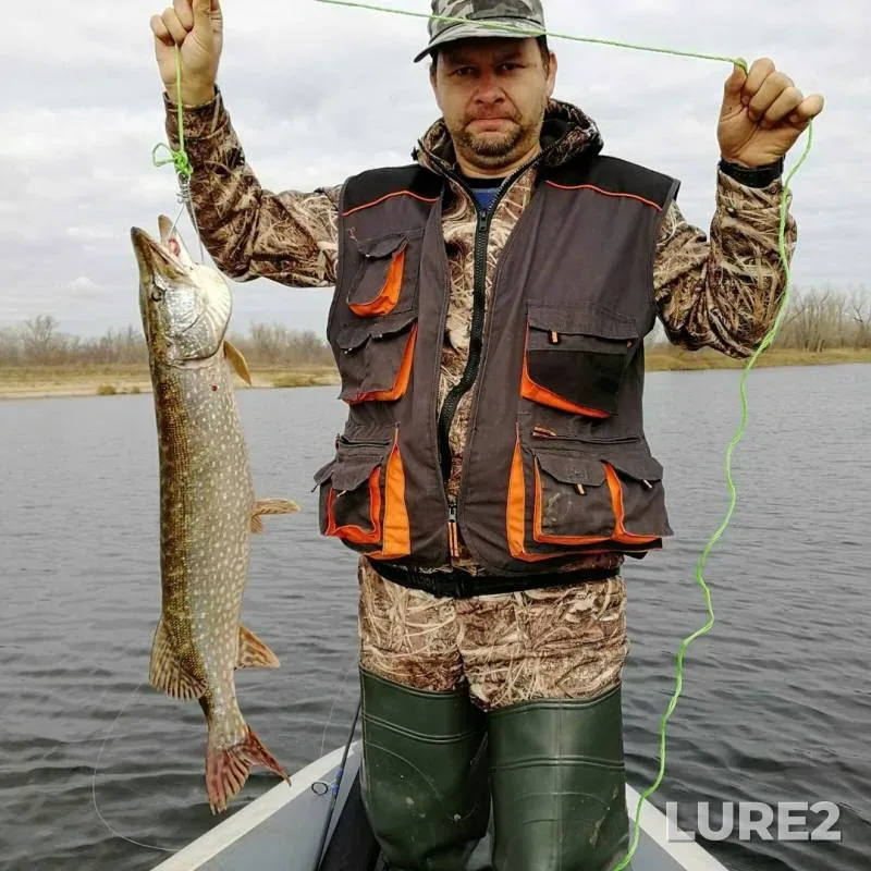 Pike — Bolshoy Irgiz, Oct 21, 2019