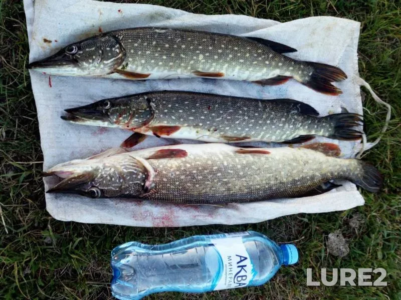 Pike — Verkhniy Iremel, Jul 11, 2019