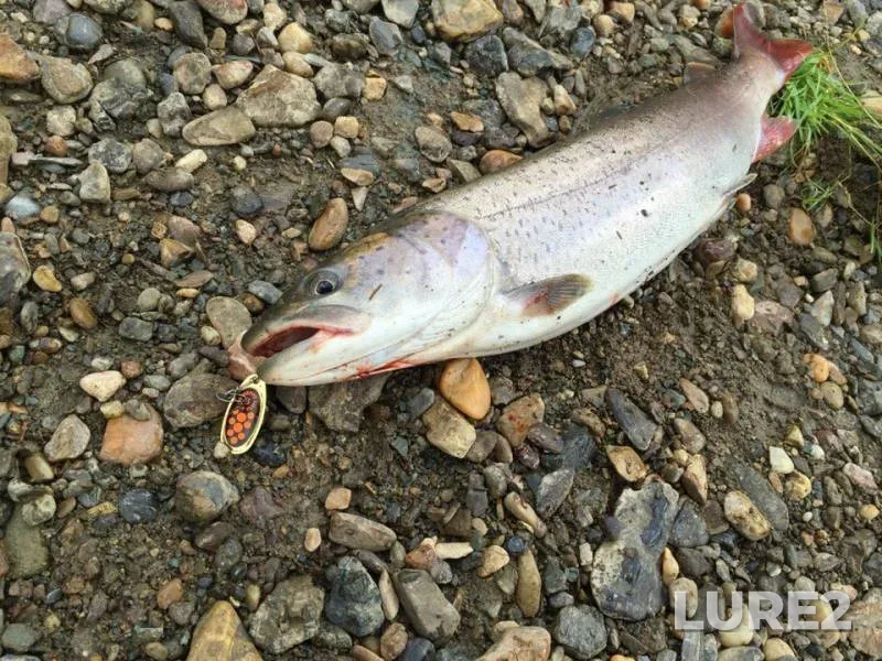 Pike — Barzas, Jul 03, 2016