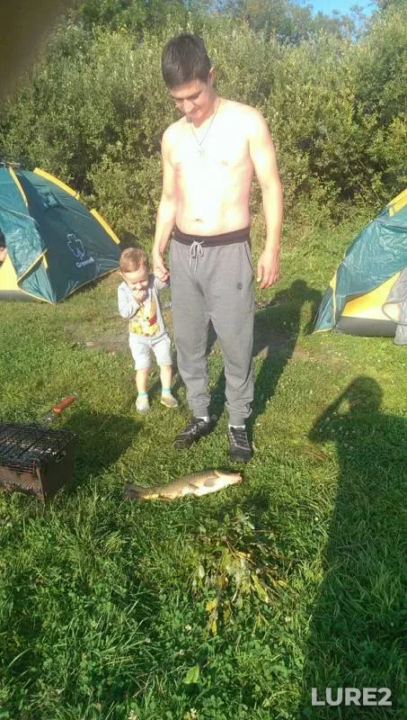 Carp — Kaldy, Sep 04, 2016
