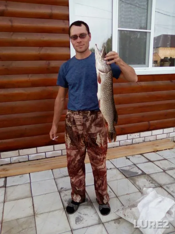 Pike — Volga, Sep 25, 2017