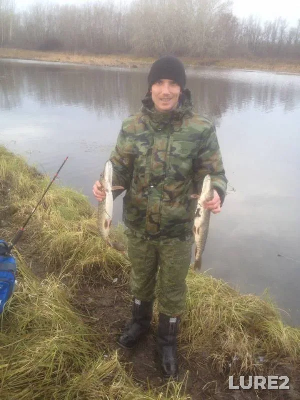 Pike — Volga, Nov 12, 2017