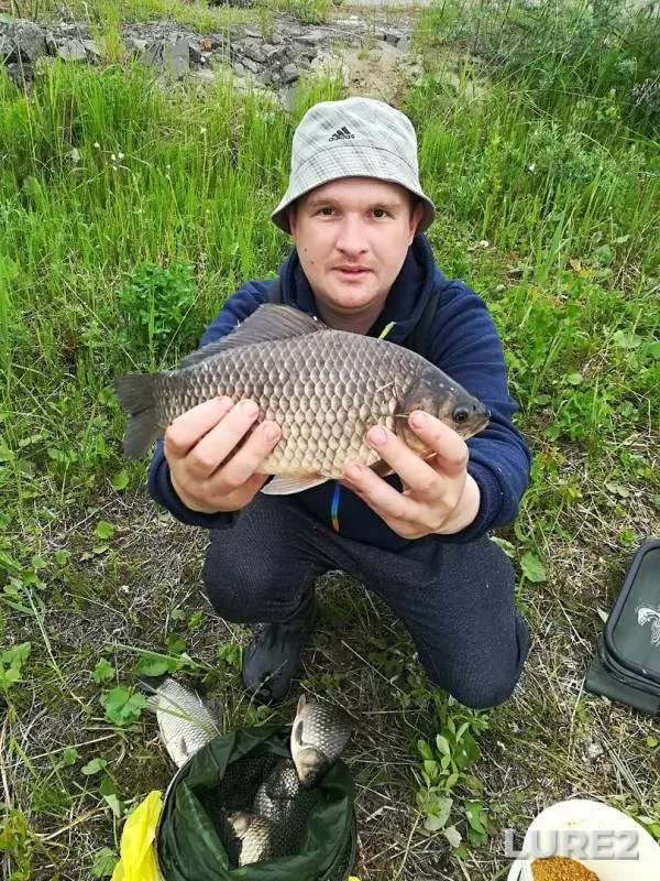 Crucian carp — Kanal imeni Moskvy, May 25, 2018