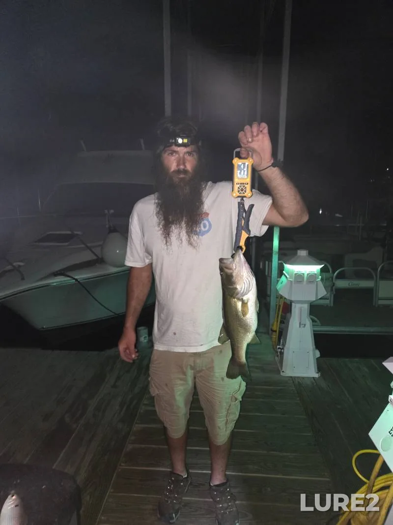 Largemouth bass — Hiwassee River, Apr 13, 2019, 2:44 PM